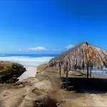 B5332 Spanish Palms At Windansea